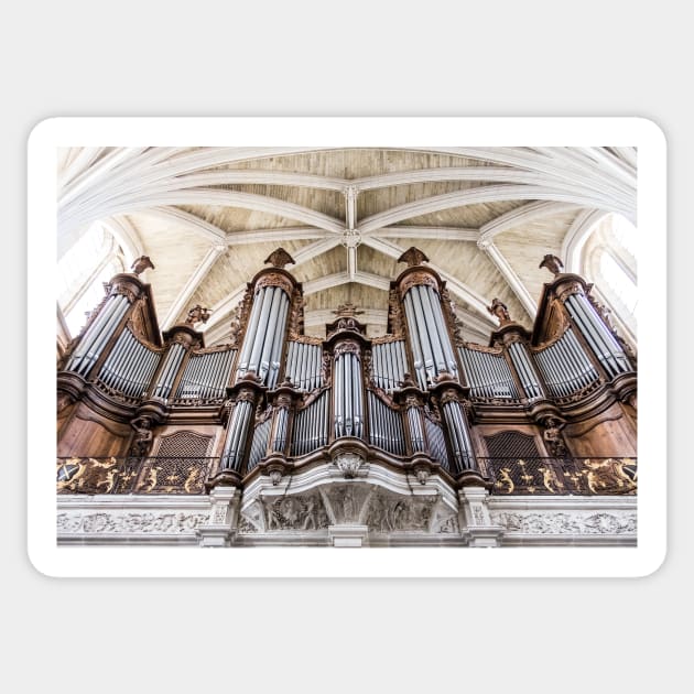 Bordeaux Cathedral Organ Sticker by RosNapier